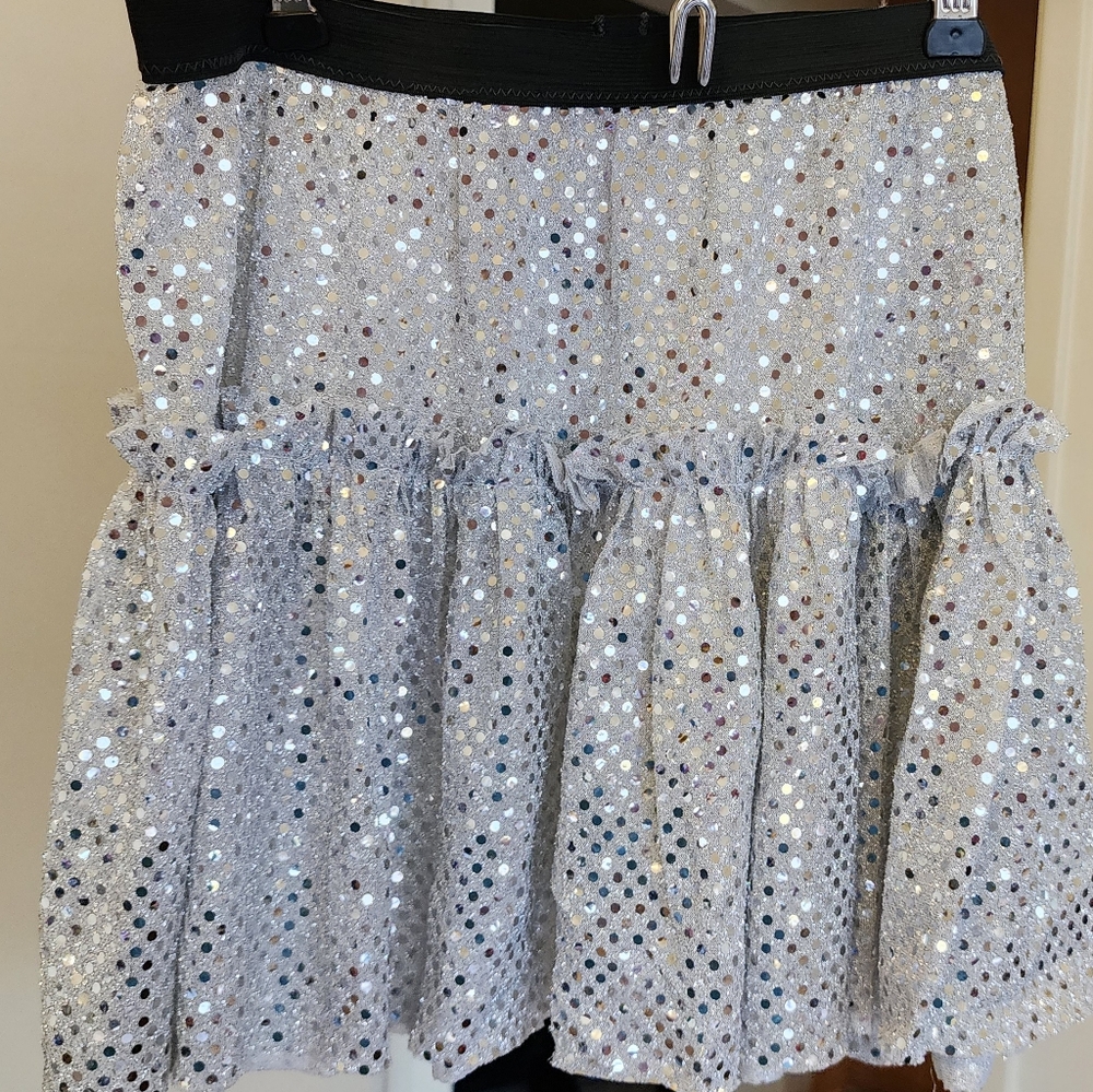 Sequin Silver Skirt